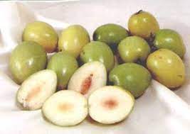 ข้อมูลโภชนาการ แคลอรี่ พุทราไทย-jujube--thai-variety