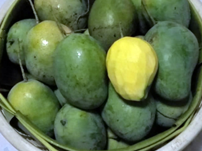 ข้อมูลโภชนาการ แคลอรี่ มะม่วงแห้วมัน--ดิบ-mango-haew-variety-unripe