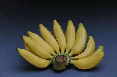 ข้อมูลโภชนาการ แคลอรี่ กล้วยน้ำไทย-banana-nam-tai-variety