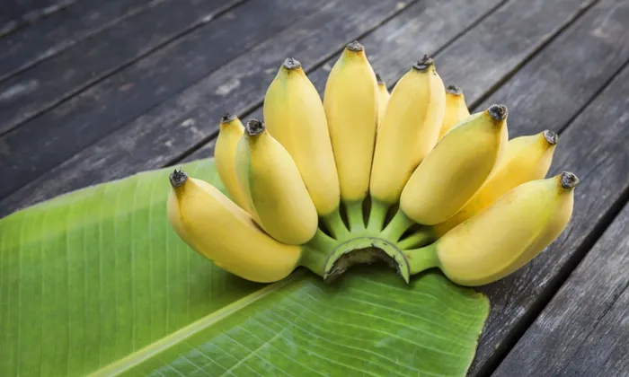 ข้อมูลโภชนาการ แคลอรี่ กล้วยน้ำว้า-banana-nam-wa-variety