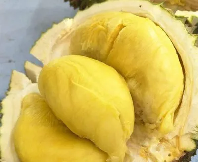 ข้อมูลโภชนาการ แคลอรี่ ทุเรียนหมอนทอง-durian-monthong-variety