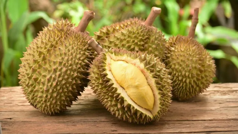 ข้อมูลโภชนาการ แคลอรี่ ทุเรียนชะนี-durian-cha-nee-variety