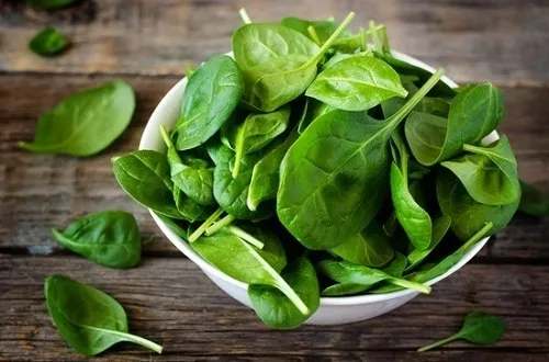 ข้อมูลโภชนาการ แคลอรี่ ผักโขม--spinach