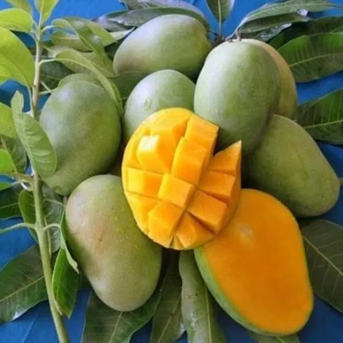 ข้อมูลโภชนาการ แคลอรี่ มะม่วงคาราบาว--สุก-mango--karabow-variety--ripe